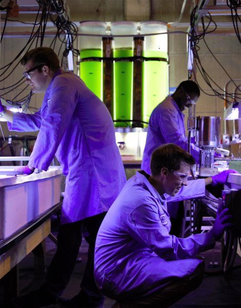 Scientists conducting bacteria testing in a laboratory